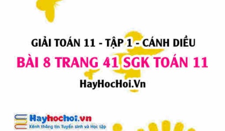 Giải bài 8 trang 41 Toán 11 tập 1 SGK Cánh Diều